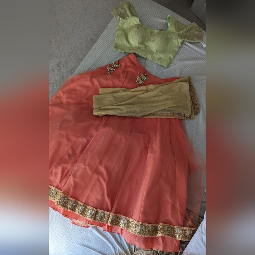 New Sushma Patel Lehenga Indian - Picture 2 of 8